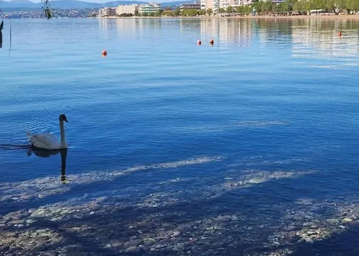 Angela's Seaview Apartment